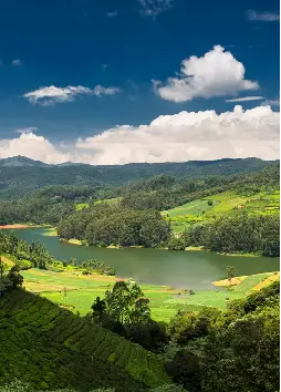 Explore Northeast India's Beauty with Kalita Tours and Travels