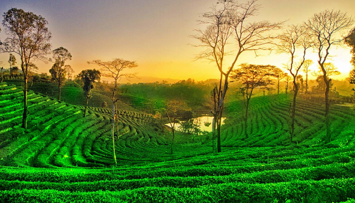 Explore North East India Tour